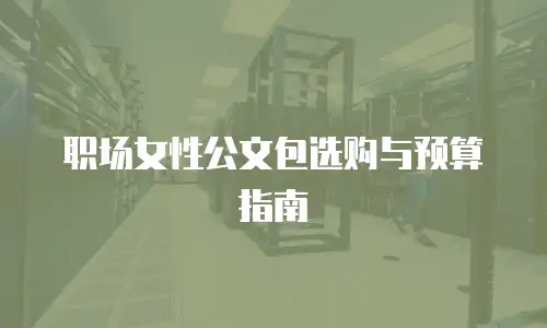职场女性公文包选购与预算指南