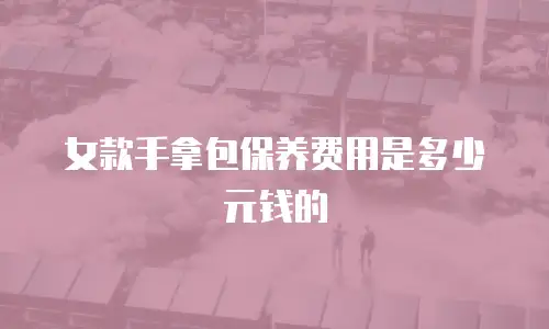 女款手拿包保养费用是多少元钱的