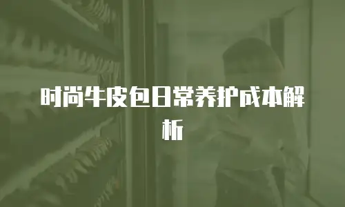 时尚牛皮包日常养护成本解析