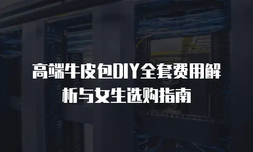 高端牛皮包DIY全套费用解析与女生选购指南