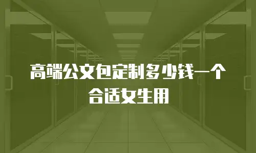 高端公文包定制多少钱一个合适女生用