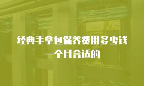经典手拿包保养费用多少钱一个月合适的