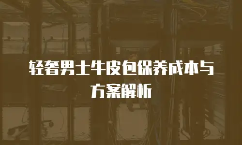 轻奢男士牛皮包保养成本与方案解析