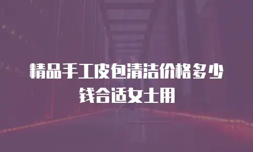 精品手工皮包清洁价格多少钱合适女士用
