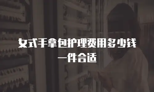 女式手拿包护理费用多少钱一件合适