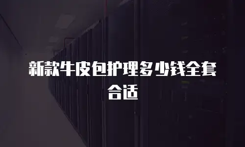 新款牛皮包护理多少钱全套合适