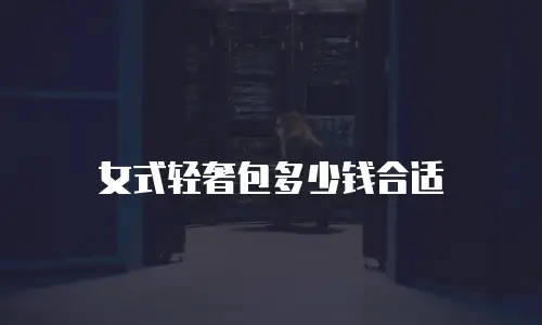 女式轻奢包多少钱合适
