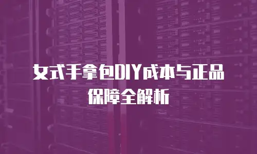 女式手拿包DIY成本与正品保障全解析