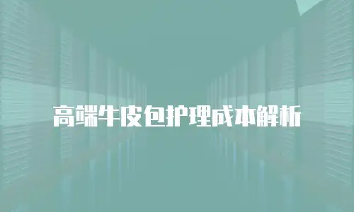 高端牛皮包护理成本解析
