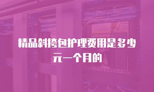 精品斜挎包护理费用是多少元一个月的