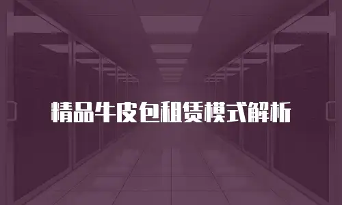 精品牛皮包租赁模式解析