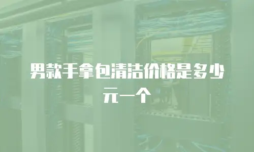 男款手拿包清洁价格是多少元一个
