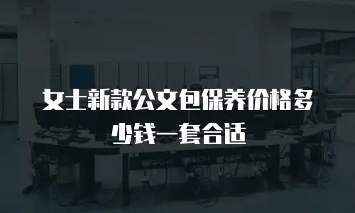 女士新款公文包保养价格多少钱一套合适