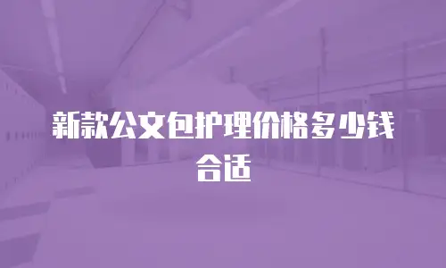 新款公文包护理价格多少钱合适