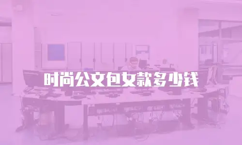 时尚公文包女款多少钱