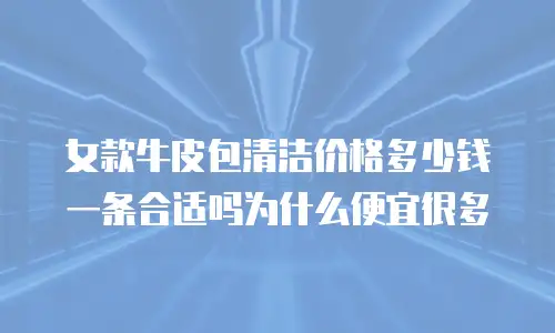 女款牛皮包清洁价格多少钱一条合适吗为什么便宜很多