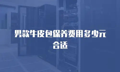 男款牛皮包保养费用多少元合适
