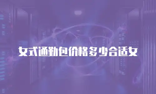 女式通勤包价格多少合适女