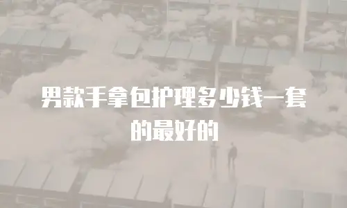 男款手拿包护理多少钱一套的最好的