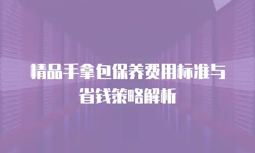 精品手拿包保养费用标准与省钱策略解析