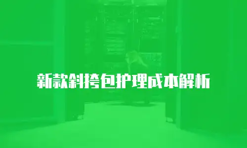 新款斜挎包护理成本解析