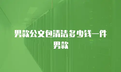 男款公文包清洁多少钱一件男款