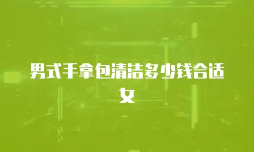 男式手拿包清洁多少钱合适女