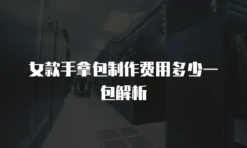 女款手拿包制作费用多少一包解析