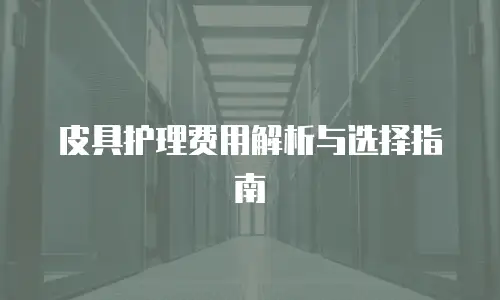 皮具护理费用解析与选择指南