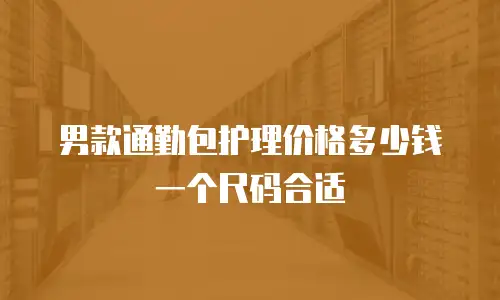 男款通勤包护理价格多少钱一个尺码合适