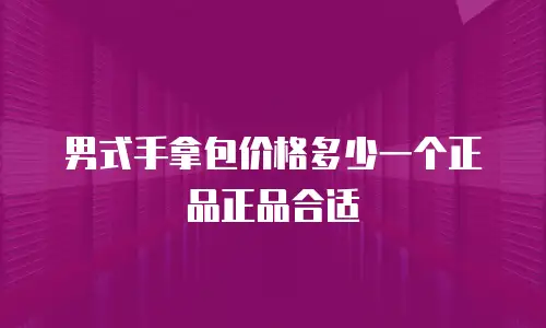 男式手拿包价格多少一个正品正品合适