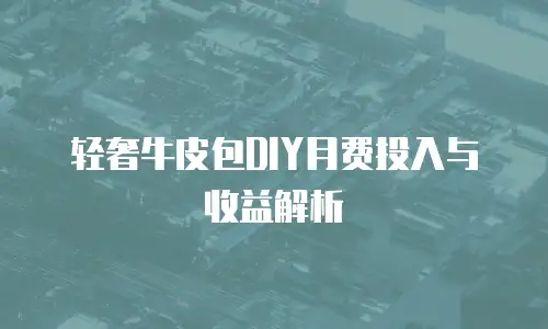 轻奢牛皮包DIY月费投入与收益解析