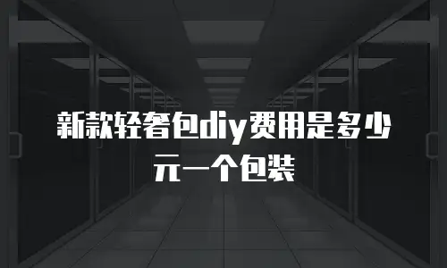 新款轻奢包diy费用是多少元一个包装