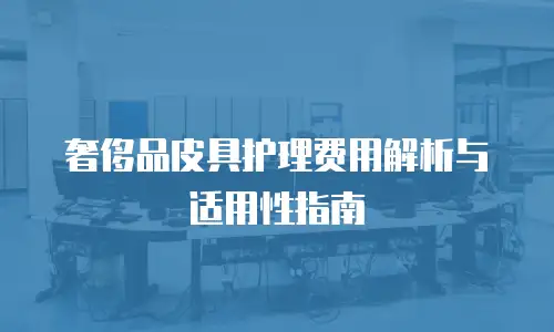 奢侈品皮具护理费用解析与适用性指南