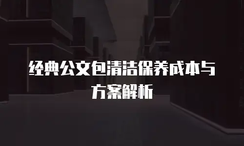 经典公文包清洁保养成本与方案解析