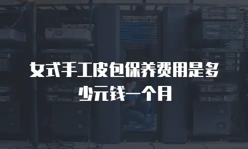女式手工皮包保养费用是多少元钱一个月