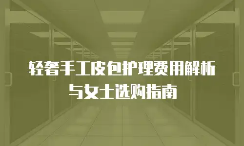 轻奢手工皮包护理费用解析与女士选购指南