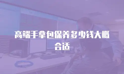 高端手拿包保养多少钱大概合适