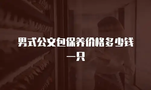 男式公文包保养价格多少钱一只