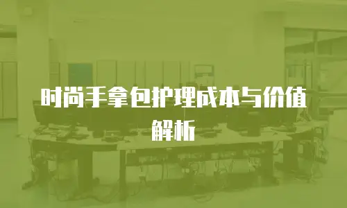 时尚手拿包护理成本与价值解析