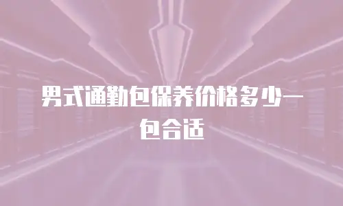 男式通勤包保养价格多少一包合适