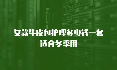 女款牛皮包护理多少钱一套适合冬季用
