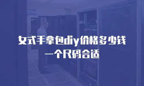 女式手拿包diy价格多少钱一个尺码合适