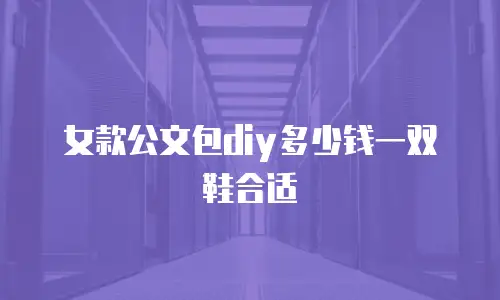 女款公文包diy多少钱一双鞋合适