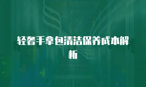轻奢手拿包清洁保养成本解析