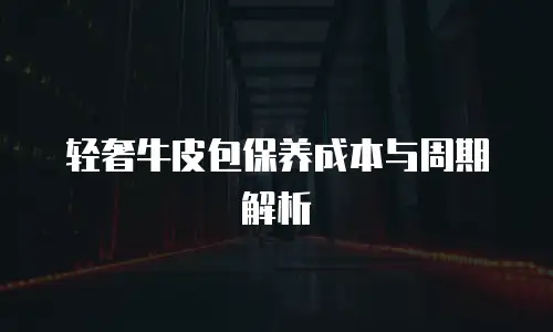 轻奢牛皮包保养成本与周期解析
