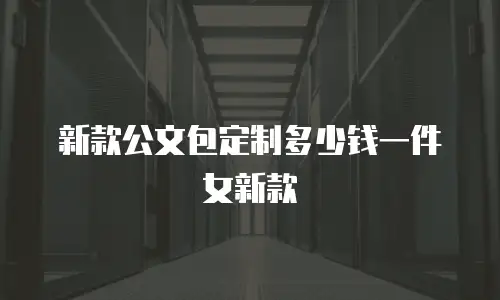 新款公文包定制多少钱一件女新款