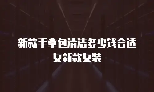 新款手拿包清洁多少钱合适女新款女装