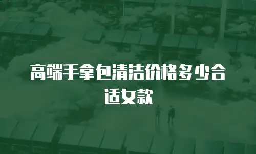 高端手拿包清洁价格多少合适女款