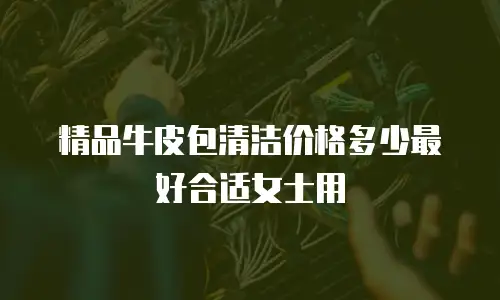 精品牛皮包清洁价格多少最好合适女士用